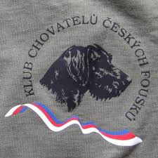 Image result for český fousek stavba těla