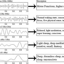 Brain Waves Charts Description Download Scientific Diagram