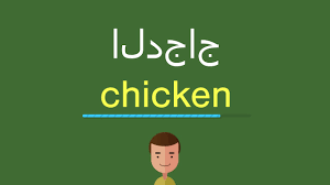 كيف أقول الدجاج بالل غة الإنجليزي ة youtube