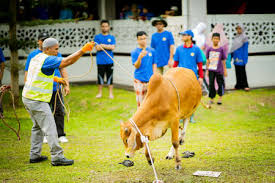 In malaysia hari raya haji is a public holiday. 375 Aidiladha Stock Photos And Images 123rf