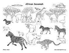 New free coloring pages browse, print & color our latest. Pin On Color Animals