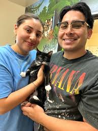 Kitten Fawn has new parents and a feline big brother! Fawn and her three  siblings were about a month old when found without their mama. She was the  choice of this lovely
