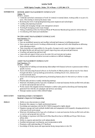 View job description, responsibilities and qualifications. Asset Management Consultant Resume Samples Velvet Jobs