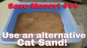 3 purina tidy cats performance multi cat litter. Cheap Cat Sand An Alternative Litter Sand For Your Cats Cat Litter Cats Litter