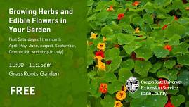 Growing Herbs and Edible Flowers in Your Garden