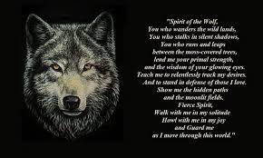 20 Lone Wolf Quote Wallpapers Lone Wolf Quotes Wolf Quotes Wolf Photos