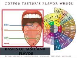 Posters will debut at the scaa expo in atlanta, ga and will be available online after the event. Sca Coffee Sensory Skills Foundation Part 1 Sharing My Old Powerpoint Slides With Explanations Youtube