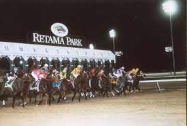 Offering class 1 quarter and thoroughbred horse racing and is open daily for simulcasting. Watch Camel Ostrich And Zebra Races In August At Retama Park
