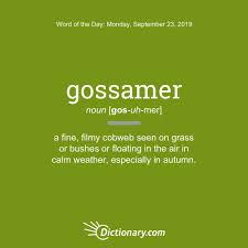 Pin On Dictionary