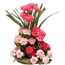We did not find results for: Pin On Buy Flowers Online Buy Cake Online Send Flowers To India