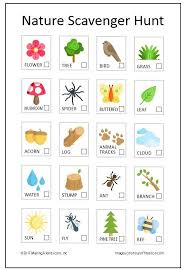 Summer Nature Scavenger Hunt Nature Scavenger Hunts Summer Scavenger Hunts Nature Kids