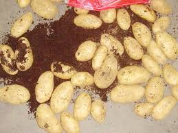 Где, что и когда купить в Москве