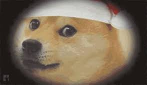 Use your arrow keys or swipe to combine similar doges and score points! Doge Christmas Gifs Tenor