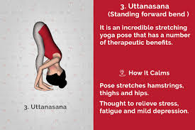 Bridge pose known as the setu bandhasana, this asana can enhance blood circulation in your body. Yoga For Stress Relief 7 Amazing Yoga Poses For Stress Relief