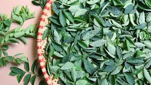 Nabi dalam agama islam adalah sosok yang diberikan wahyu oleh allah untuk menyampaikan kepada seluruh umat link successfully copied. Daun Katuk Pelancar Asi Yang Tak Bikin Bau Badan