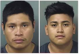 ICE out here cleaning up