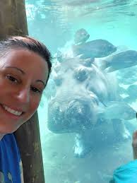 Visiting Hippo Cove from LA with friends and family