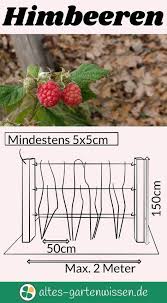 Himbeeren Gartenarten Garten Bepflanzen Bepflanzung