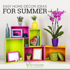 Diy home decor ideas for every room. 7 Easy Home Decor Ideas For Summer Season Ferns N Petals