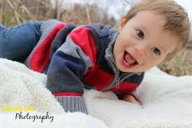 Honey Bee Photography