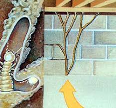 If these nests are not found and removed from a home in time, flying termites (alates) could emerge from the nest and populate another area of a home. Signs Of Termite Infestation Termite Infestation Pictures