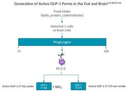 the generation and function of active glp 1 alpco