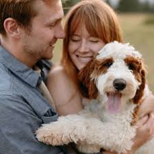 Allie Hadjis and Joe Theis's Wedding Registry