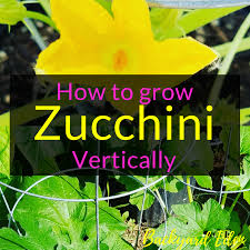 The space you'll need depends on the type of trellis you use. How To Grow Zucchini Vertically Backyard Eden
