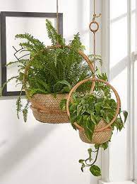 Best Hanging Planters For Indoor Plants Spring 2018 Hanging Planters Hanging Plants Hanging Planters Indoor