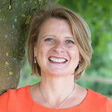 My work with companies