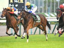 名無しさん＠実況で競馬板アウト 2021/08/29(日) 15:42:55.31 id:022h2xix0 大して成長してないし 1番人気はねーわな 2: Fkytbsj88dbdzm