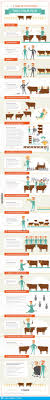 11 Infographics Of Governing Law