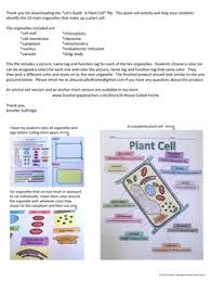 Plants, according to jack c schultz, are just very slow animals. Plant Cell Model Ideas To Make