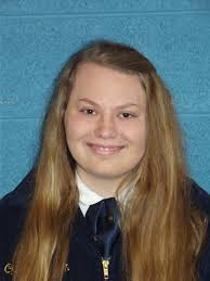Seven Somerset County FFA members earn American FFA Degrees