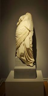 Image result for Terpsichore cultrata