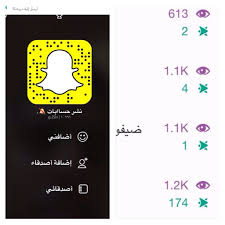 تبادل نشر سناب