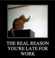 We did not find results for: 7 Funny Motivational Quotes Work Ideas Motivational Quotes Funny Motivational Quotes Funny Inspirational Quotes