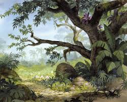 Tohad On Fond De Disney Le Livre De La Jungle Dessin Jungle