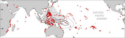 Find expert advice along with how to videos and articles, including instructions on how to make, cook, grow, or do almost anything. Patterns Of Species Richness And The Center Of Diversity In Modern Indo Pacific Larger Foraminifera Scientific Reports