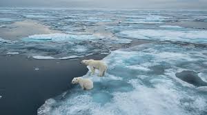 C'est quoi la fonte des glaces ? Fonte Des Glaces De Nouvelles Terres A Conquerir Les Echos