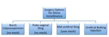 surgery for female urinary incontinence dr marcus carey