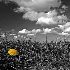 Mindblowing Assortment Of Black And White Photography With Partial Colors Smashingapps Com Black And White Landscape Color Splash Photography Black And White Photography With Color