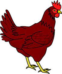 Brown Hen Clip Art At Clker Com Vector Clip Art Online Royalty Free Public Domain Free png imagesmillions of png images, backgrounds and vectors for free download.