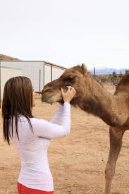 Features two master suites with a total of four bedrooms. Camel Safari Las Vegas The Rambling Raccoon