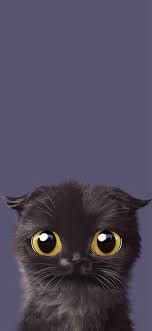 The Iphone X Wallpaper Thread Iphone Ipad Ipod Forums At Imore Com Hayvan Ilustrasyonlari Cilgin Disi Kedi Hayvan