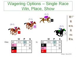 Win Place Show How To Bet On Horses Getting Out Of The