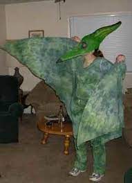Pteranodon Dinosaur Costume Dinosaur Costume Costumes Magic Treehouse