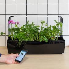 We did not find results for: Jardin D Interieur Et Potagers D Interieur Mes Tests Et Comparatifs Produits