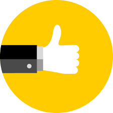 Der fahrzeugbestand der zacke besteht aus drei vierachsigen zahnradtriebwagen der bauart zt 4 (baujahr 1982), wobei planmäßig immer zwei wagen im einsatz stehen. Zahnradbahn Ssb Ag