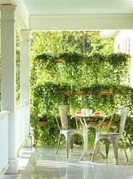 Plant this shrub as a privacy screen or informal hedge in regions with hot, dry summers. 13 Attractive Ways To Add Privacy To Your Yard Deck With Pictures